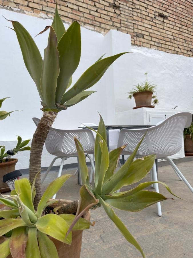 Carmela Apartment. Almuñécar Extérieur photo